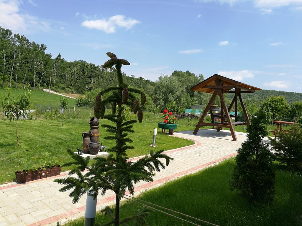 Agropensiunea Valea Fagilor Luncavita Ngoại thất bức ảnh