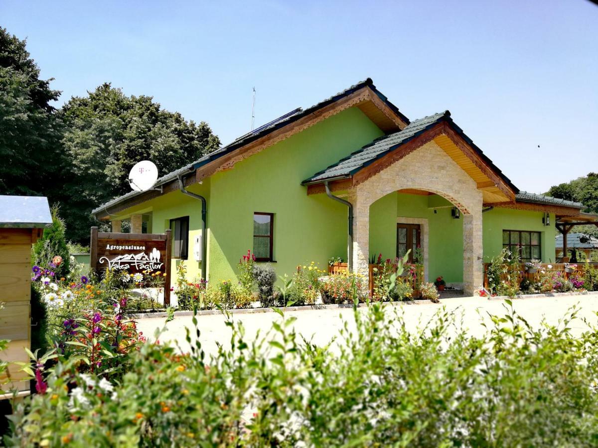 Agropensiunea Valea Fagilor Luncavita Ngoại thất bức ảnh