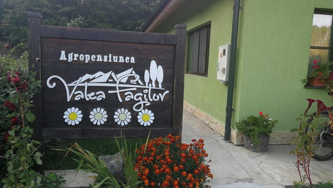 Agropensiunea Valea Fagilor Luncavita Ngoại thất bức ảnh